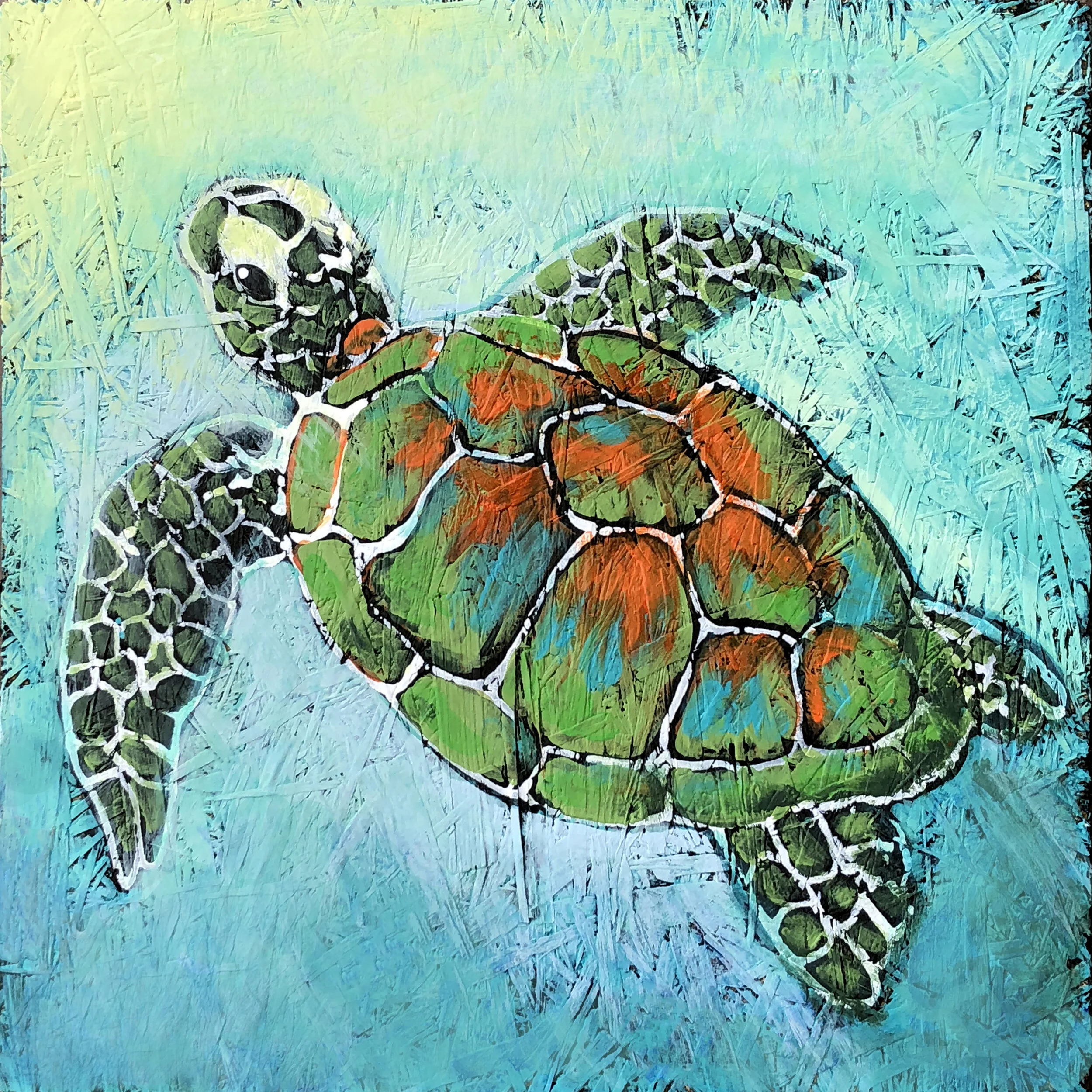 Myrtle+the+Turtle.jpg?format=2500w